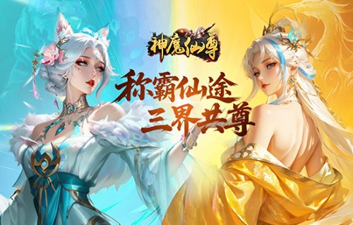 职业技能展示